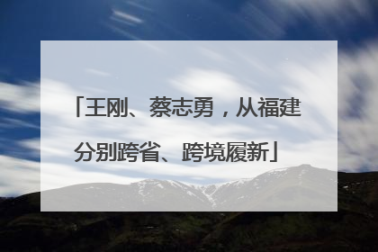 王刚、蔡志勇，从福建分别跨省、跨境履新