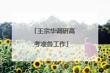 王宗华调研高考准备工作