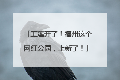 王莲开了！福州这个网红公园，上新了！