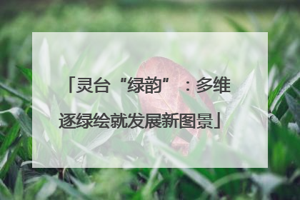 灵台“绿韵”：多维逐绿绘就发展新图景