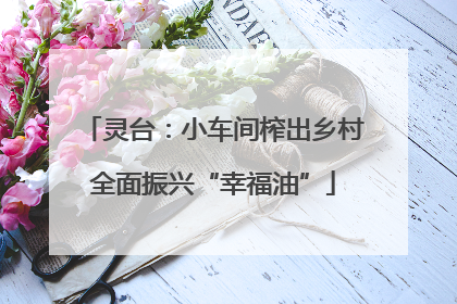 灵台：小车间榨出乡村全面振兴“幸福油”