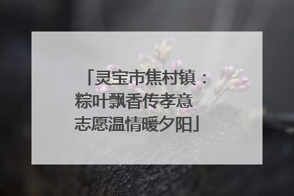 灵宝市焦村镇：粽叶飘香传孝意 志愿温情暖夕阳