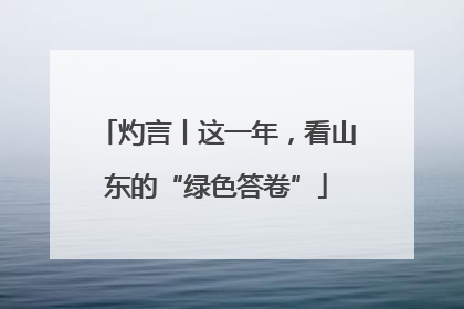 灼言丨这一年，看山东的“绿色答卷”
