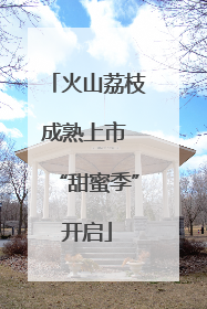 火山荔枝成熟上市 “甜蜜季”开启