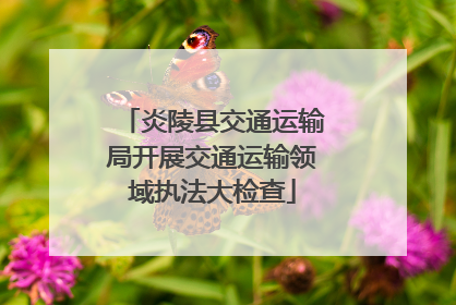 炎陵县交通运输局开展交通运输领域执法大检查