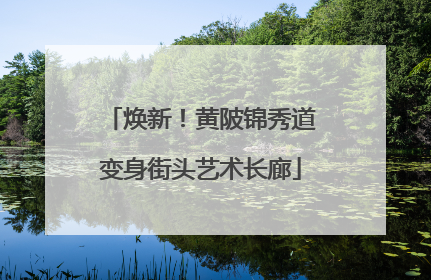 焕新！黄陂锦秀道变身街头艺术长廊