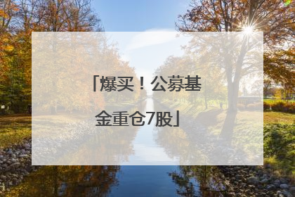 爆买！公募基金重仓7股