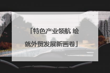 特色产业领航 绘就外贸发展新画卷