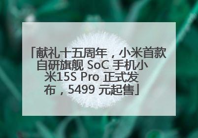 献礼十五周年，小米首款自研旗舰 SoC 手机小米15S Pro 正式发布，5499 元起售