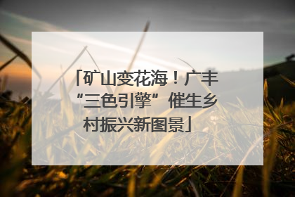 矿山变花海！广丰“三色引擎”催生乡村振兴新图景