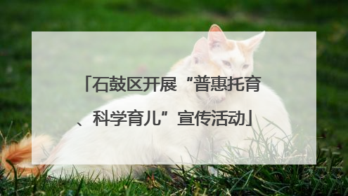 石鼓区开展“普惠托育、科学育儿”宣传活动