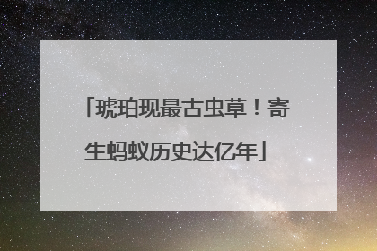 琥珀现最古虫草！寄生蚂蚁历史达亿年
