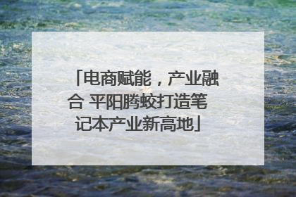 电商赋能，产业融合 平阳腾蛟打造笔记本产业新高地