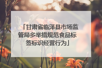 甘肃省临泽县市场监管局多举措规范食品标签标识经营行为
