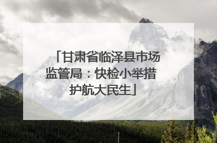 甘肃省临泽县市场监管局：快检小举措 护航大民生
