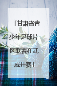 甘肃省青少年足球片区联赛在武威开赛