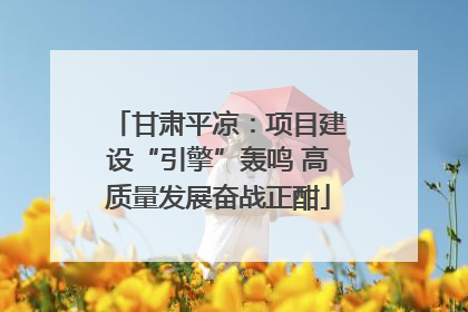 甘肃平凉：项目建设“引擎”轰鸣 高质量发展奋战正酣