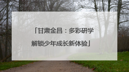 甘肃金昌：多彩研学解锁少年成长新体验