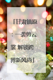 甘肃镇原：一袭剪云裳 解锁跨界新风尚