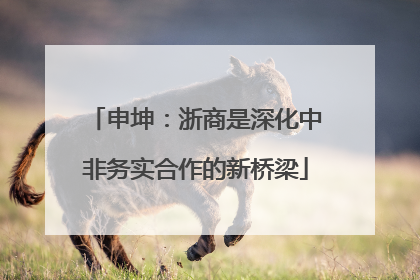申坤：浙商是深化中非务实合作的新桥梁