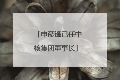申彦锋已任中核集团董事长