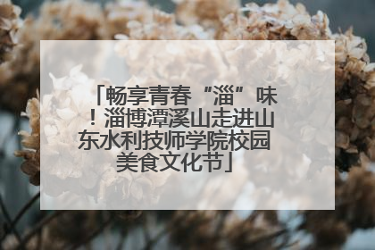 畅享青春“淄”味！淄博潭溪山走进山东水利技师学院校园美食文化节
