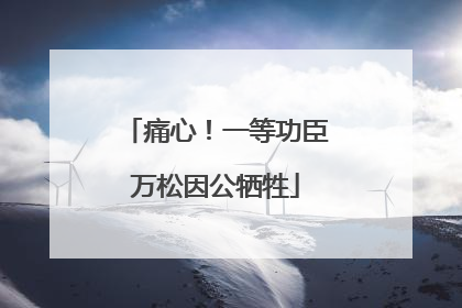 痛心！一等功臣万松因公牺牲