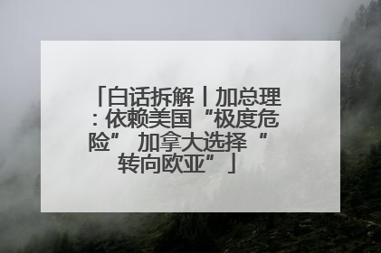 白话拆解丨加总理：依赖美国“极度危险” 加拿大选择“转向欧亚”