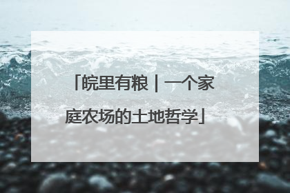 皖里有粮｜一个家庭农场的土地哲学