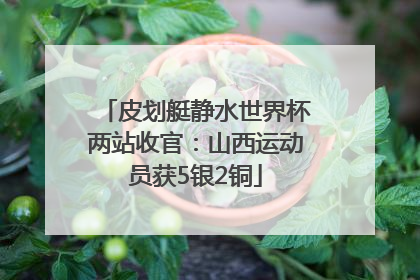 皮划艇静水世界杯两站收官：山西运动员获5银2铜