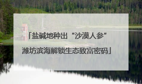 盐碱地种出“沙漠人参” 潍坊滨海解锁生态致富密码