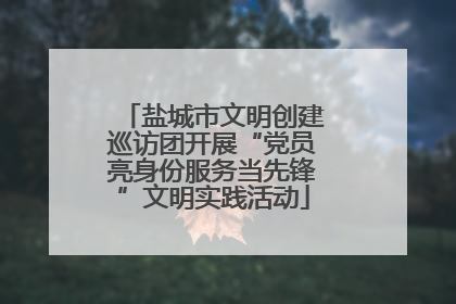 盐城市文明创建巡访团开展“党员亮身份服务当先锋”文明实践活动