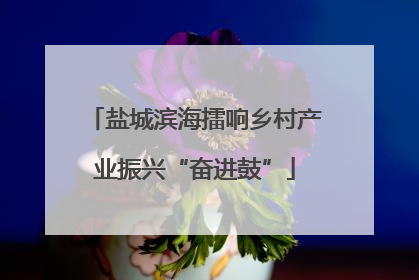盐城滨海擂响乡村产业振兴“奋进鼓”