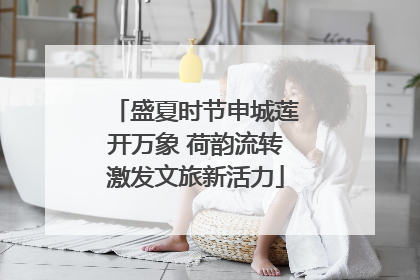 盛夏时节申城莲开万象 荷韵流转激发文旅新活力