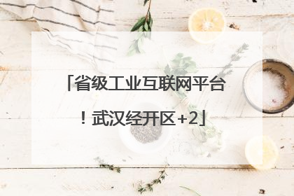 省级工业互联网平台！武汉经开区+2