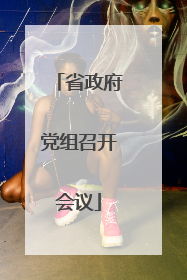 省政府党组召开会议