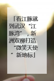 看江豚就到武汉“江豚湾”，新洲双柳打造“微笑天使”新地标