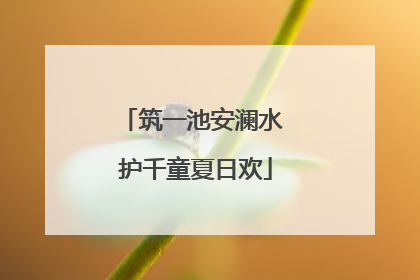 筑一池安澜水 护千童夏日欢