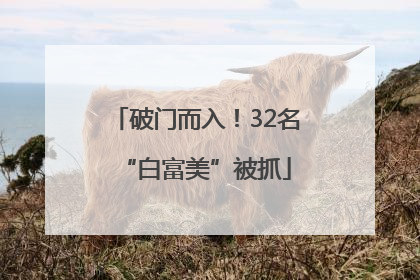 破门而入！32名“白富美”被抓