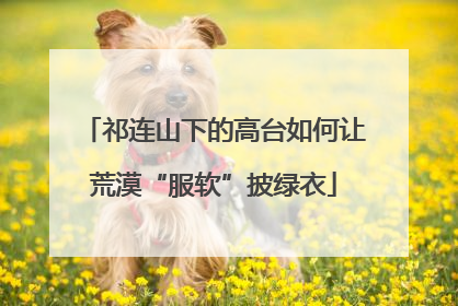 祁连山下的高台如何让荒漠“服软”披绿衣