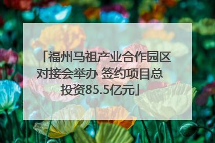 福州马祖产业合作园区对接会举办 签约项目总投资85.5亿元