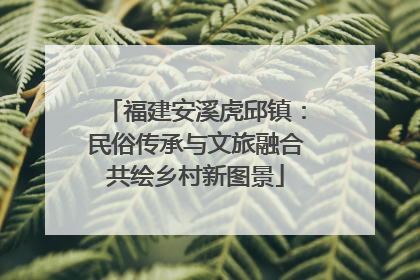 福建安溪虎邱镇：民俗传承与文旅融合共绘乡村新图景