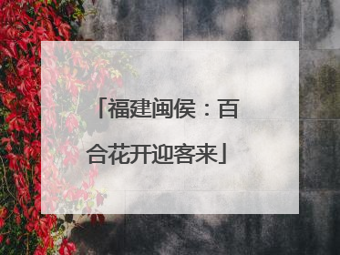 福建闽侯：百合花开迎客来