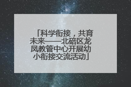 科学衔接，共育未来——北碚区龙凤教管中心开展幼小衔接交流活动