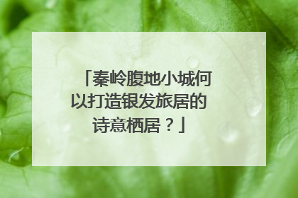秦岭腹地小城何以打造银发旅居的诗意栖居？