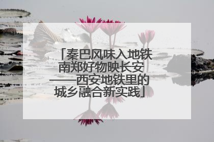 秦巴风味入地铁 南郑好物映长安——西安地铁里的城乡融合新实践