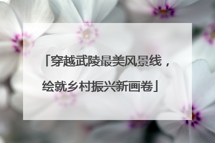 穿越武陵最美风景线，绘就乡村振兴新画卷