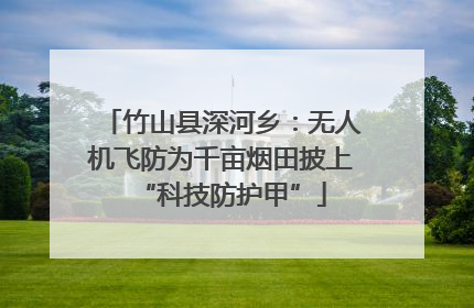 竹山县深河乡：无人机飞防为千亩烟田披上“科技防护甲”