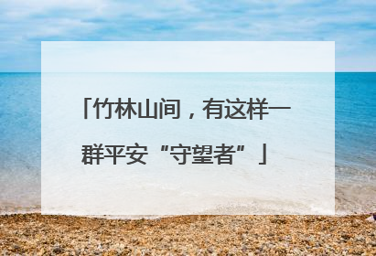 竹林山间，有这样一群平安“守望者”