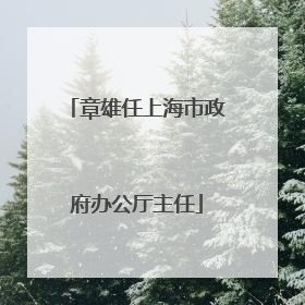 章雄任上海市政府办公厅主任